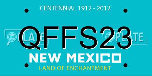 QFFS23 New Mexico License Plate