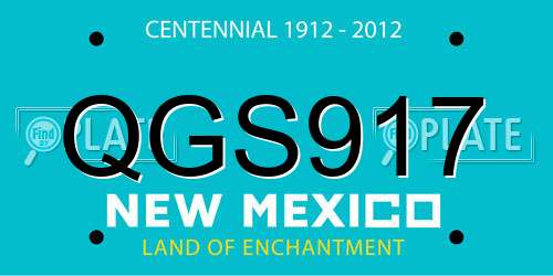 QGS917 New Mexico License Plate