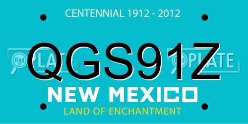 QGS91Z New Mexico License Plate