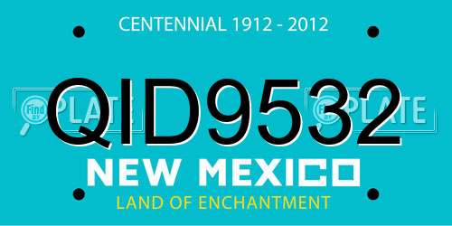 QID9532 New Mexico License Plate