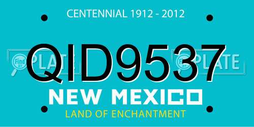 QID9537 New Mexico License Plate