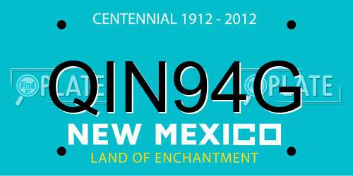 QIN94G New Mexico License Plate