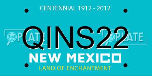 QINS22 New Mexico License Plate