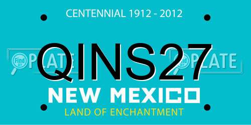 QINS27 New Mexico License Plate