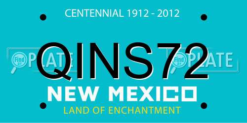 QINS72 New Mexico License Plate