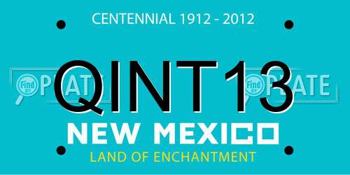 QINT13 New Mexico License Plate