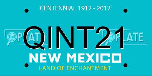 QINT21 New Mexico License Plate
