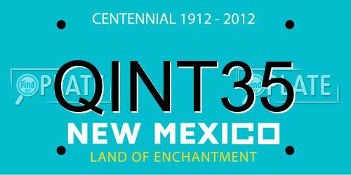 QINT35 New Mexico License Plate