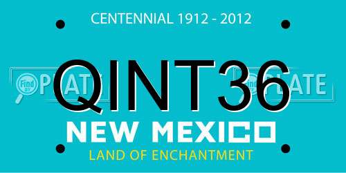 QINT36 New Mexico License Plate