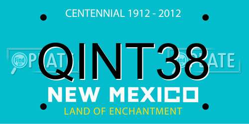 QINT38 New Mexico License Plate