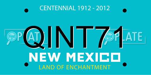QINT71 New Mexico License Plate