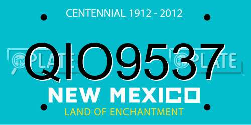QIO9537 New Mexico License Plate