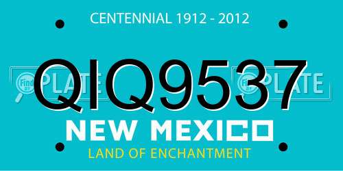 QIQ9537 New Mexico License Plate