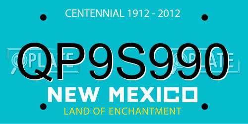 QP9S990 New Mexico License Plate