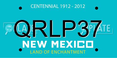 QRLP37 New Mexico License Plate