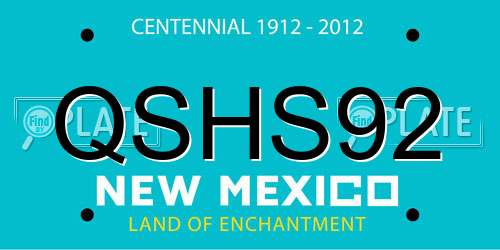 QSHS92 New Mexico License Plate