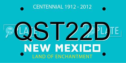 QST22D New Mexico License Plate