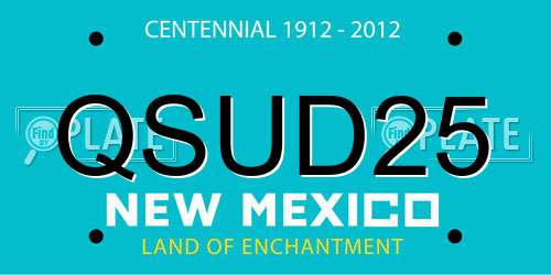 QSUD25 New Mexico License Plate