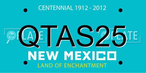 QTAS25 New Mexico License Plate