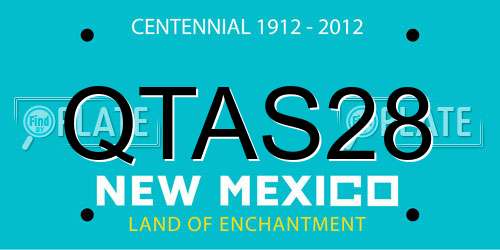 QTAS28 New Mexico License Plate