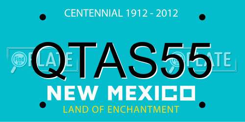 QTAS55 New Mexico License Plate