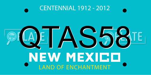 QTAS58 New Mexico License Plate