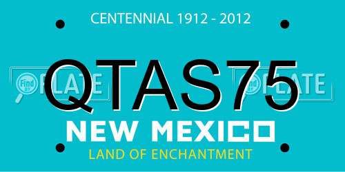 QTAS75 New Mexico License Plate