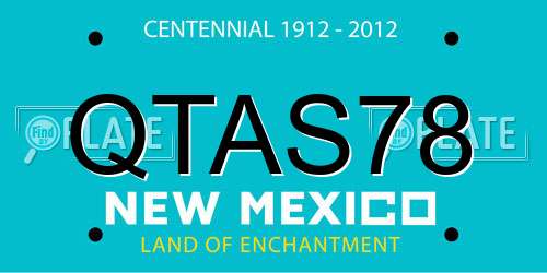 QTAS78 New Mexico License Plate