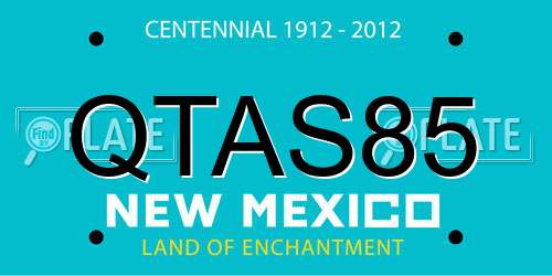 QTAS85 New Mexico License Plate