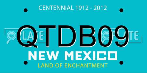 QTDB09 New Mexico License Plate
