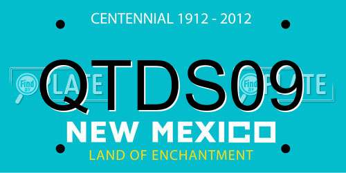 QTDS09 New Mexico License Plate