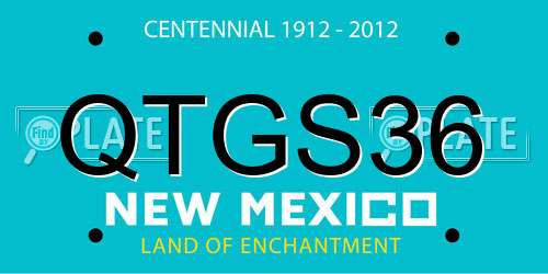 QTGS36 New Mexico License Plate