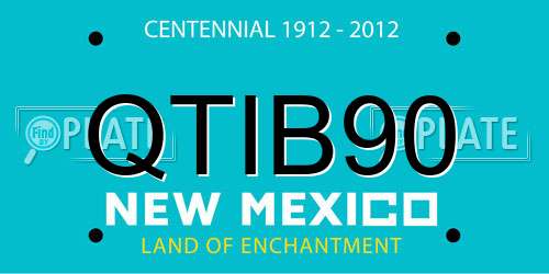 QTIB90 New Mexico License Plate