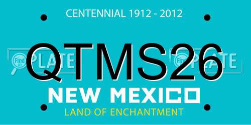QTMS26 New Mexico License Plate