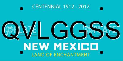 QVLGGSS New Mexico License Plate