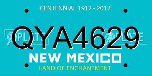 QYA4629 New Mexico License Plate