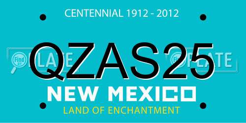 QZAS25 New Mexico License Plate