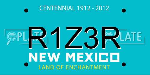 R1Z3R New Mexico License Plate
