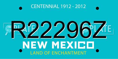 R22296Z New Mexico License Plate
