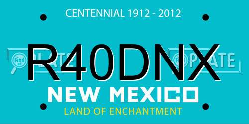 R40DNX New Mexico License Plate