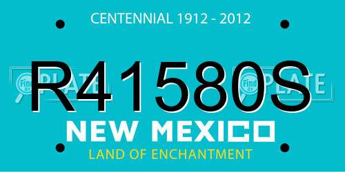 R41580S New Mexico License Plate