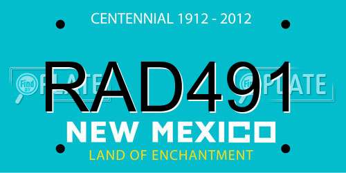 RAD491 New Mexico License Plate