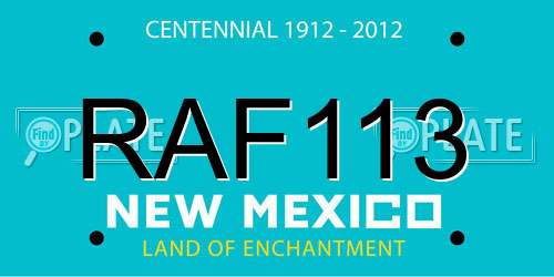 RAF113 New Mexico License Plate