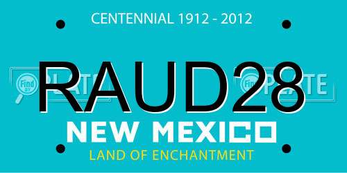 RAUD28 New Mexico License Plate