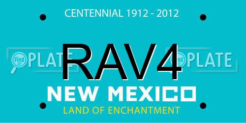 RAV4 New Mexico License Plate