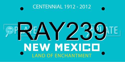 RAY239 New Mexico License Plate