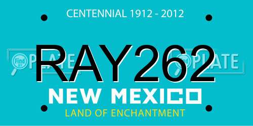 RAY262 New Mexico License Plate