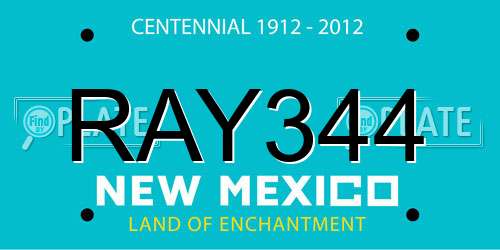 RAY344 New Mexico License Plate