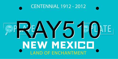 RAY510 New Mexico License Plate