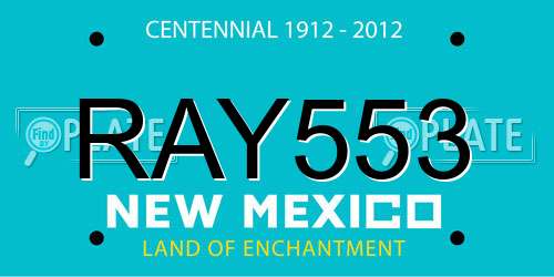 RAY553 New Mexico License Plate
